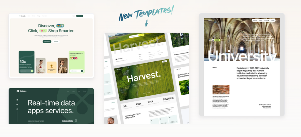 Top WordPress Themes to Elevate Your Website in 2025